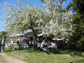 Annapolis Winery