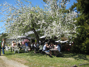 Annapolis Winery