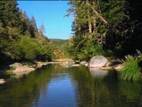Wheatfield Fork, Gualala River, upstream from Clark's Crossing