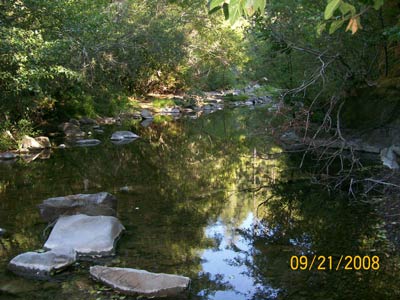 9/21/08 In Buckeye Creek, water is flowing continuously and steelhead are abundant 9/21/08 In Buckeye Creek, water is flowing continuously and steelhead are abundant