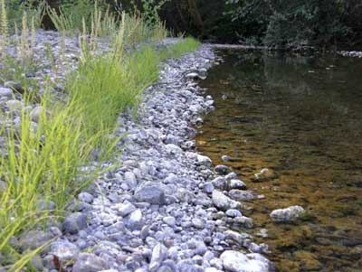 8/28/08 Half-mile upstream of Valley Crossing, only moderate drawdown 8/28/08 Half-mile upstream of Valley Crossing, only moderate drawdown