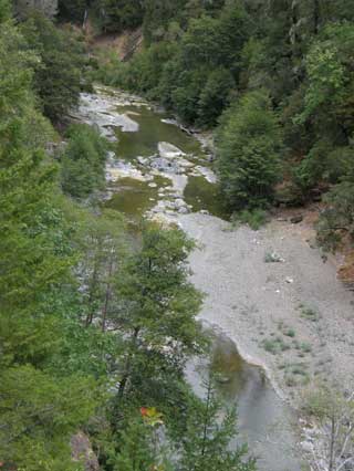 8/18/08 Wheatfield Fork Gualala River upstream of the YMCA Camp Gualala