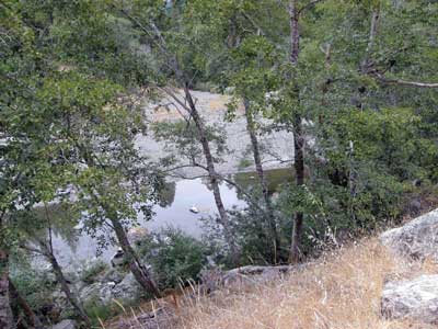 8/18/08 Wheatfield Fork Gualala River near the YMCA Camp Gualala