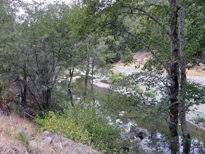 8/18/08 Wheatfield Fork Gualala River below the YMCA Camp Gualala