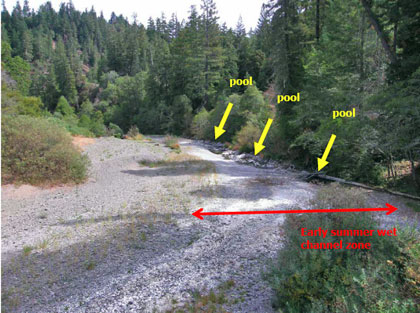 8/19/08 Wheatfield Fork Gualala River immediately upstream of the Annapolis Road Bridge