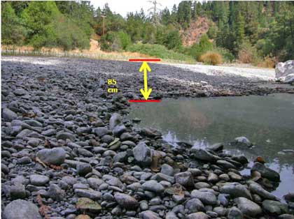 8/19/08 Wheatfield Fork Gualala River drained pool upstream of the Annapolis Road Bridge