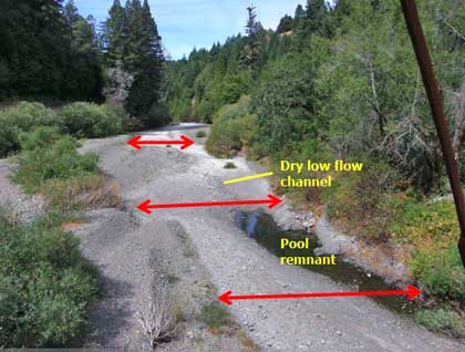 8/19/08 Wheatfield Fork Gualala River immediately downstream of the Annapolis Road Bridge