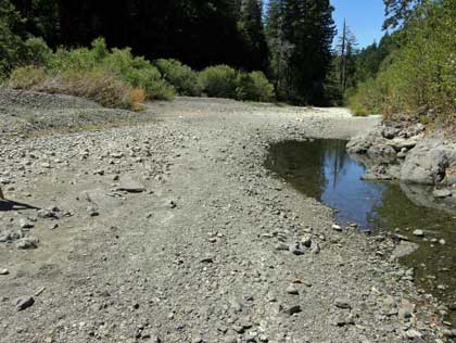 8/19/08 Remains of the former steelhead pool below the Annapolis Road Bridge