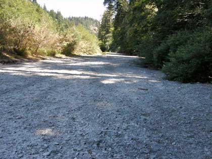 8/19/08 Wheatfield Fork upstream of Haupt Creek
