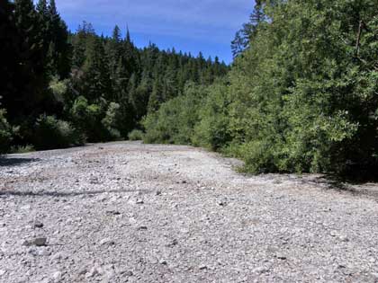 8/19/08 Wheatfield Fork downstream of Haupt Creek