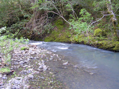 Fuller Creek, May 2009
