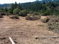 Cornell Vineyards on Mark West Creek - unpermitted grading, 2005