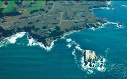 Gualala Point Island