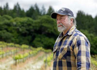 Plan to cut forest for vineyards faces opposition - AP Plan to cut forest for vineyards faces opposition - AP
