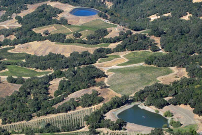 Sonoma County vineyards, photo by Adina Merenlender