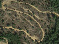 Campbell Timber Management Clearcut in Ten Mile River Watershed