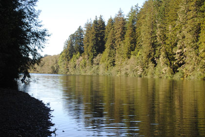 The full Gualala River, by Jeanne Jackson The full Gualala River, by Jeanne Jackson