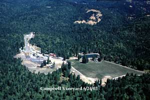 Aerial photo of the Campbell Vineyard