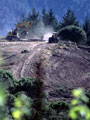 vineyard conversion