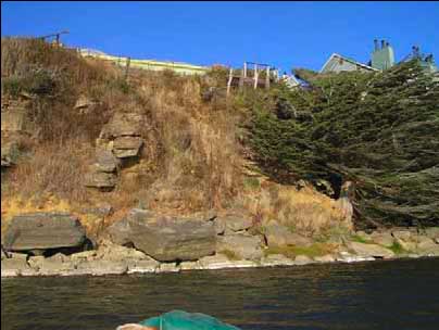 Shallow debris slide, photo courtesy of Peter Baye Shallow debris slide, photo courtesy of Peter Baye